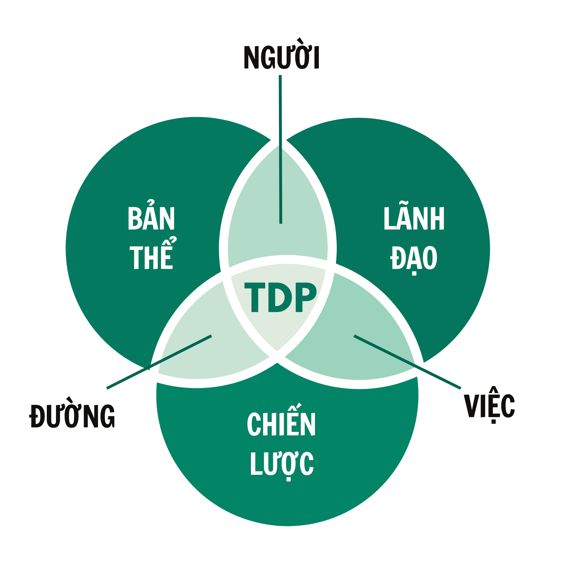 Mô hình cốt lõi TDP: Bản thể - Lãnh đạo - Chiến lược